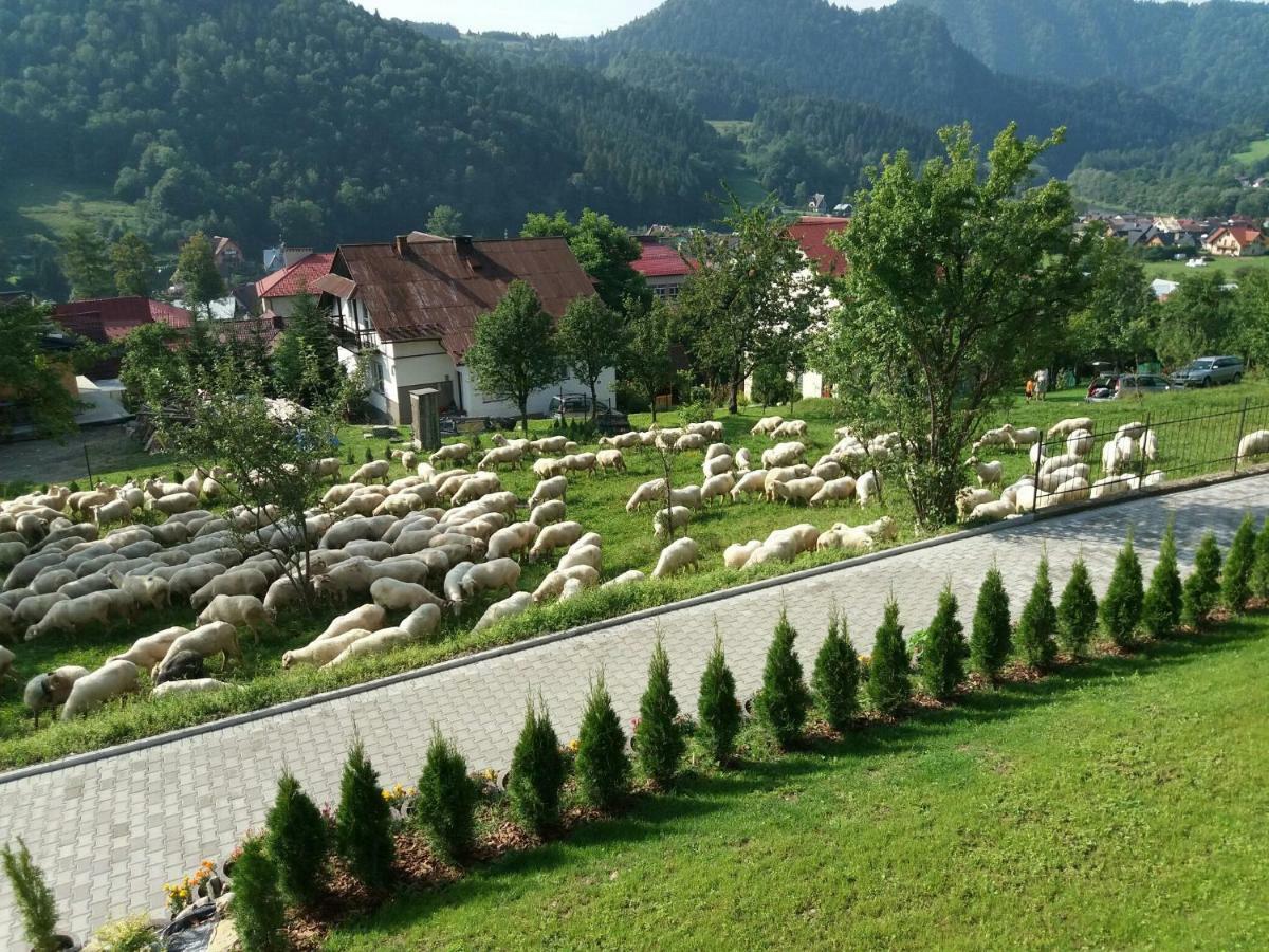 Pokoje U Celinki Szczawnica Bagian luar foto